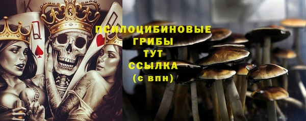 скорость Приозерск