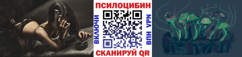 Галлюциногенные грибы MAGIC MUSHROOMS  Кувшиново 